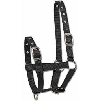 Cabezada para Potro Waldhausen Triple Negra