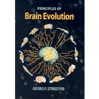 Brain Evolution