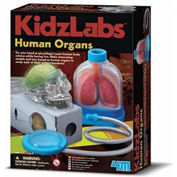 4M- Human Organs Ciencia (00-03374)