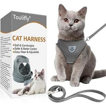 Toulifly Arnés para Gatos, Chaleco con Correa, arnés Ajustable para Gatos pequeños y Perros, Set de arnés Escape a Prueba de Gatos con Correa