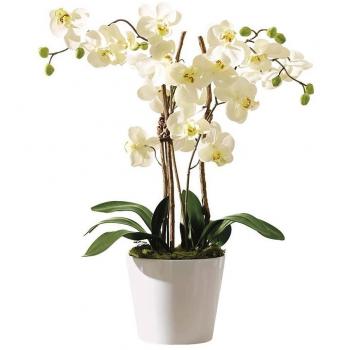 Pureday Planta Artificial Orchid con Maceta de cerámica Blanca