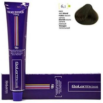 Salermvison Hair Dye 6.1 Dark Ash Blonde 75ml