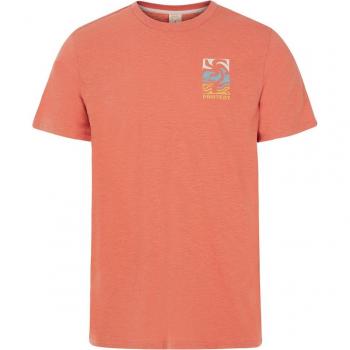Camiseta de Hombre Protest PRTROCHA - Naranja - Talla S