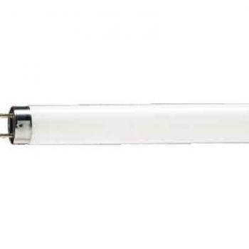 LIGHT DE PHILIPS Lámpara fluorescente 36W Blanco, G13, 1199, 4m
