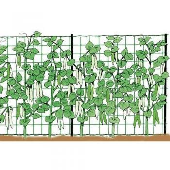 Soporte para Plantas Trepadoras Rojo 2x50 m