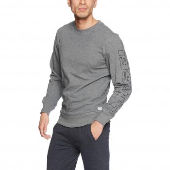 Diesel Sweatshirts and Hoodies Diesel Willy Grey L