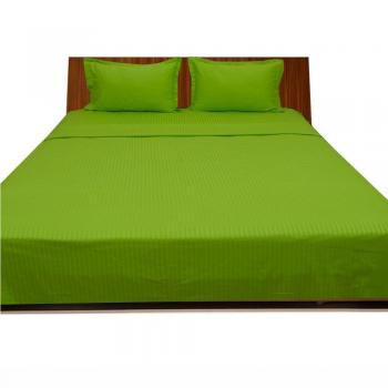 Calidad de primera - 600-de percale de-de ropa de cama algodón egipcio de cama de matrimonio 76,2 cm con bolsillo individuales de patrones de costura para chaquetas, Parrot con una raya verde, 600TC 100% algodón juego de cama