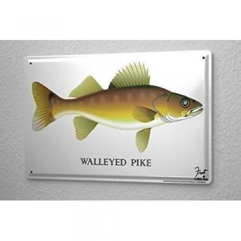 Cartel de chapa Placa metal tin sign Para La Cocina Walleye 20X30 cm
