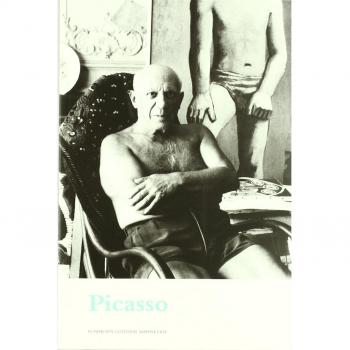PICASSO