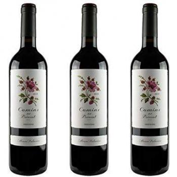 Alvaro Palacios Camins del Priorat 2021 Spanish Red Wine 750 mL (Case of 6 Bottles)
