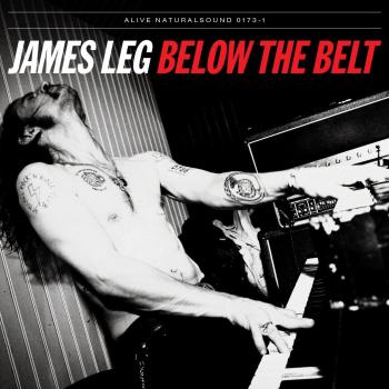 Vinyl Below the Belt Protective Cover