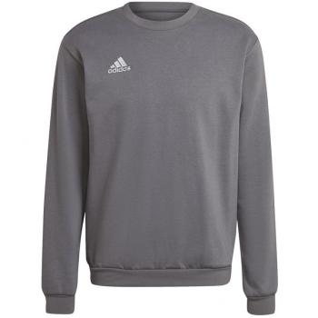 Sudadera de fútbol adidas Entrada 22 Stadium Sw Rosa