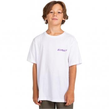 Camiseta Element Jurassic SS