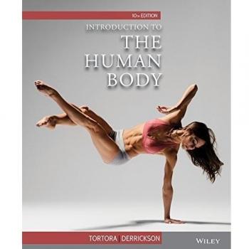 Introduction to the Human Body
