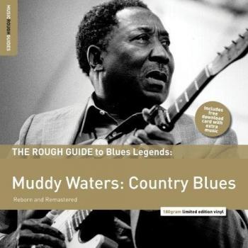 Rough Guide to Muddy Waters:Co [Vinilo]
