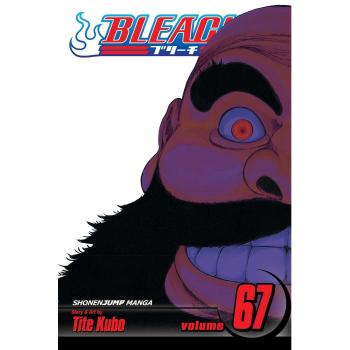 Bleach Volume 67: Black