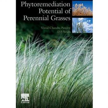 Phytoremediation Potential of Perennial Grasses