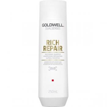 Goldwell Dualsenses Rich Repair Restoring Shampoo 250ml