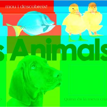 Animals
