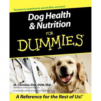 Canine Wellness and Nutrition Guide for Beginners