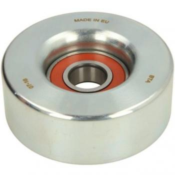 Tensor de correa poli V BTA E25020BTA