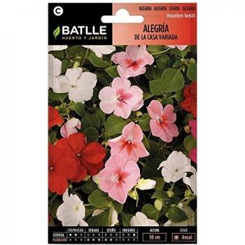 Semillas de Flores - Alegría de la Casa Impatiens Híbrida variada - Batlle