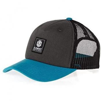 Element Mens Trucker Snapback Cap ~ Icon Mesh Ocean