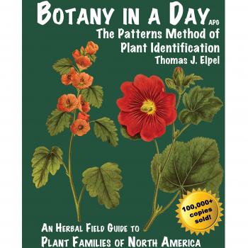 Botany in a Day: The Patterns Method of Plant Identification