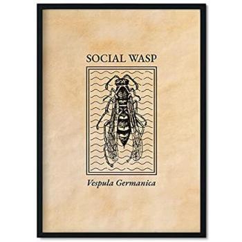 Lámina Vintage de Avispa en Estilo Grabado y Tonos Sepia - Póster Decorativo para Interiores Tamaño A4