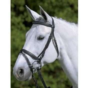 Brida de equitación Star Diamond con muserola combinada, color negro, tamaño WB