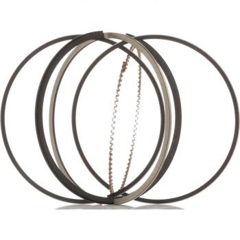 Juego de aros de pistón RIDEX 444P0018 - Kit de aros de pistón, compatible con múltiples modelos de vehículos, fabricado en materiales duraderos para un rendimiento óptimo del motor