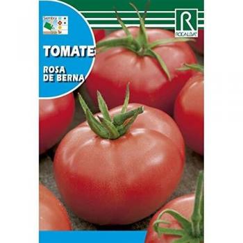 Semilla Tomate Rosa de Berna - Rocalba