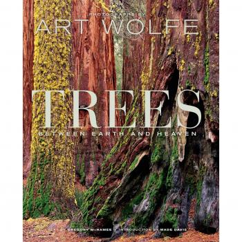 Trees: Between Heaven and Earth