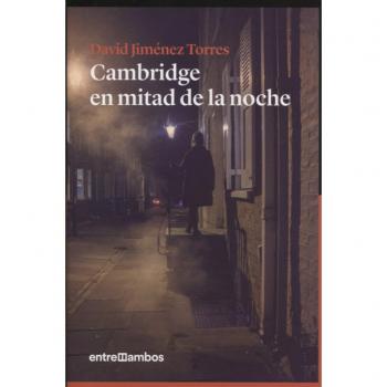 Cambridge en mitad de la noche: 8