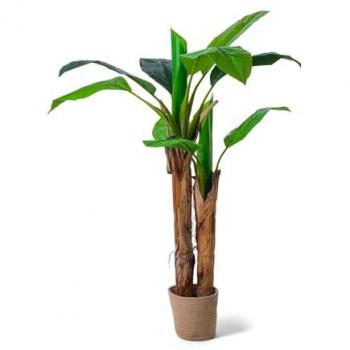Planta Artificial Banana Tree en Maceta H160 cm