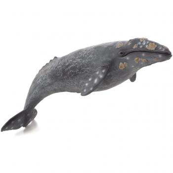 Grey Whale Toy Figure - Sealife Model by Animal Planet and Mojo Fun