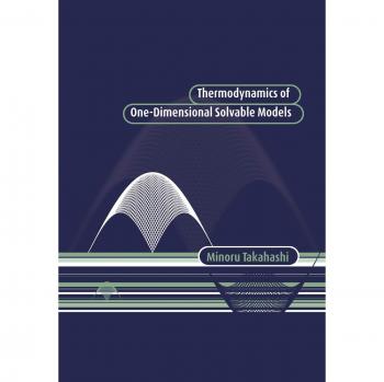 Termodinámica de Modelos Unidimensionales Resolubles - Edición en Rústica