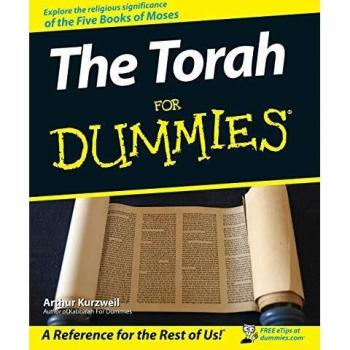 The Torah For Dummies