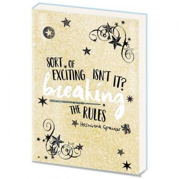 HARRY POTTER Cuaderno de PVC A5 Hermione - Producto oficial