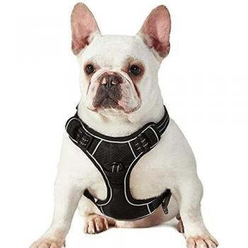 Lesure Arnés Perro Antitirones Mediano - Arnés Pecho Perro Ajustable y Transpirable con Líneas Reflectantes, Chaleco Perro Antiescape para Adiestramiento, Pechera Perro Cómodo, Negro, M