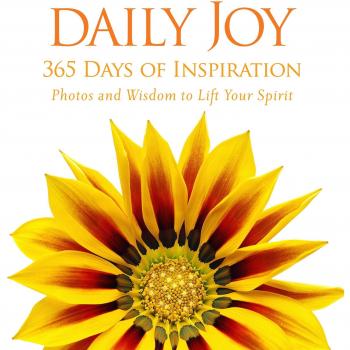 Daily Joy: 365 Days of Inspiration