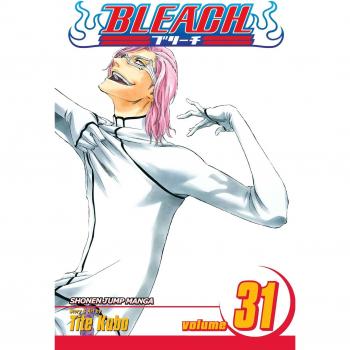 Bleach Volume 31: Don't Kill My Volupture