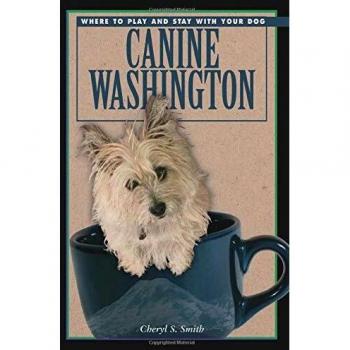 Dog-Friendly Washington: Play and Stay Guide