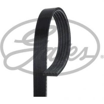 Correa acanalada en V GATES 5PK1680, tipo de producto: correa V-ribbed, longitud: 1680 mm, número de bandas: 5