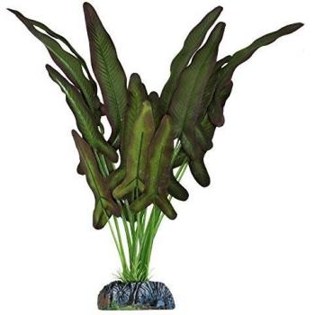 ICA AP1123 Syngonium de Aquatic Plants Seda