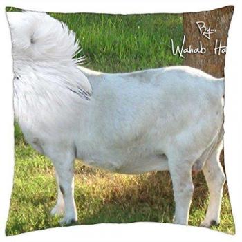 Morphing: cabra N palomas – manta funda de almohada