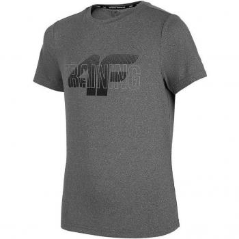 Camiseta de Manga Corta Niño 4F JTSMF001 Gris