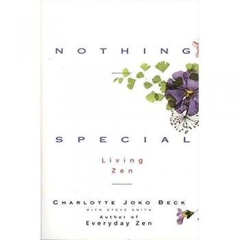 Nothing Special: Living Zen