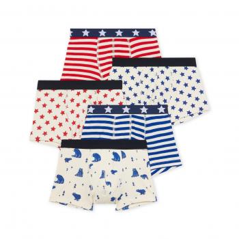 Petit Bateau 26141, Ropa Interior para Niños, Multicolor