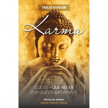 Karma. Qué es, qué no es, por qué es importante
